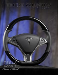 model s