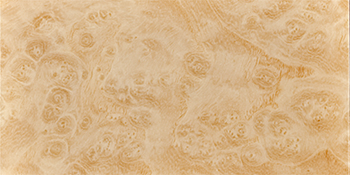 Ash Burl